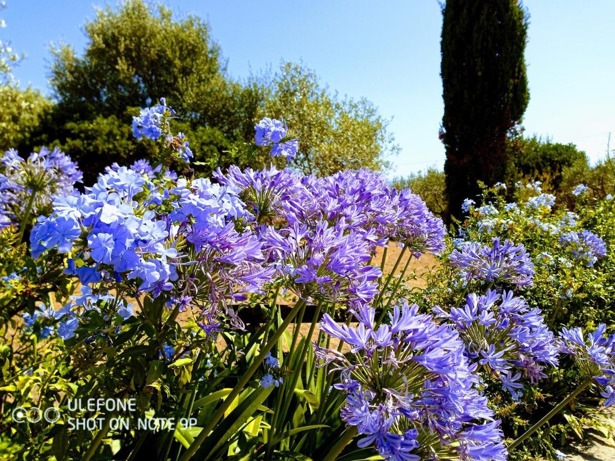 Arcamyrtus Guest House Alghero Exterior photo