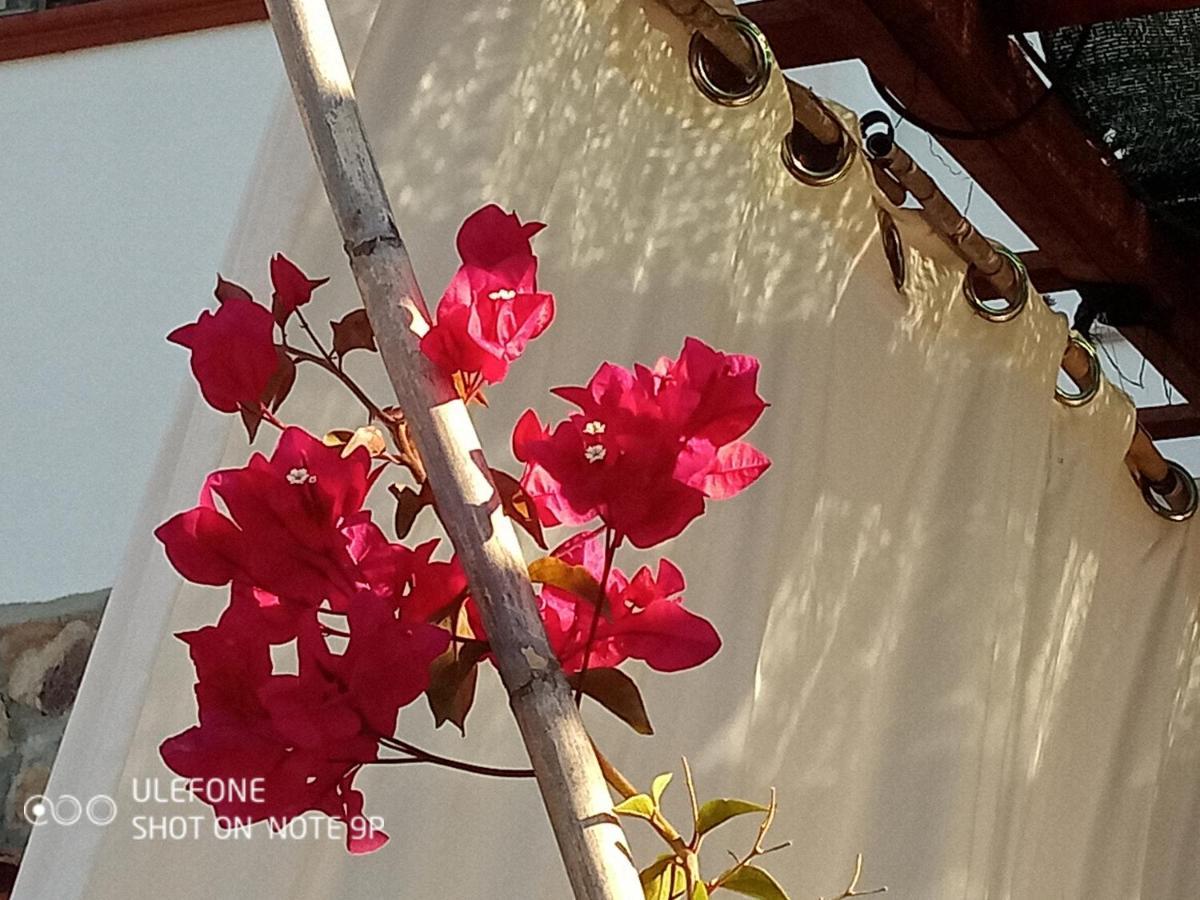 Arcamyrtus Guest House Alghero Exterior photo
