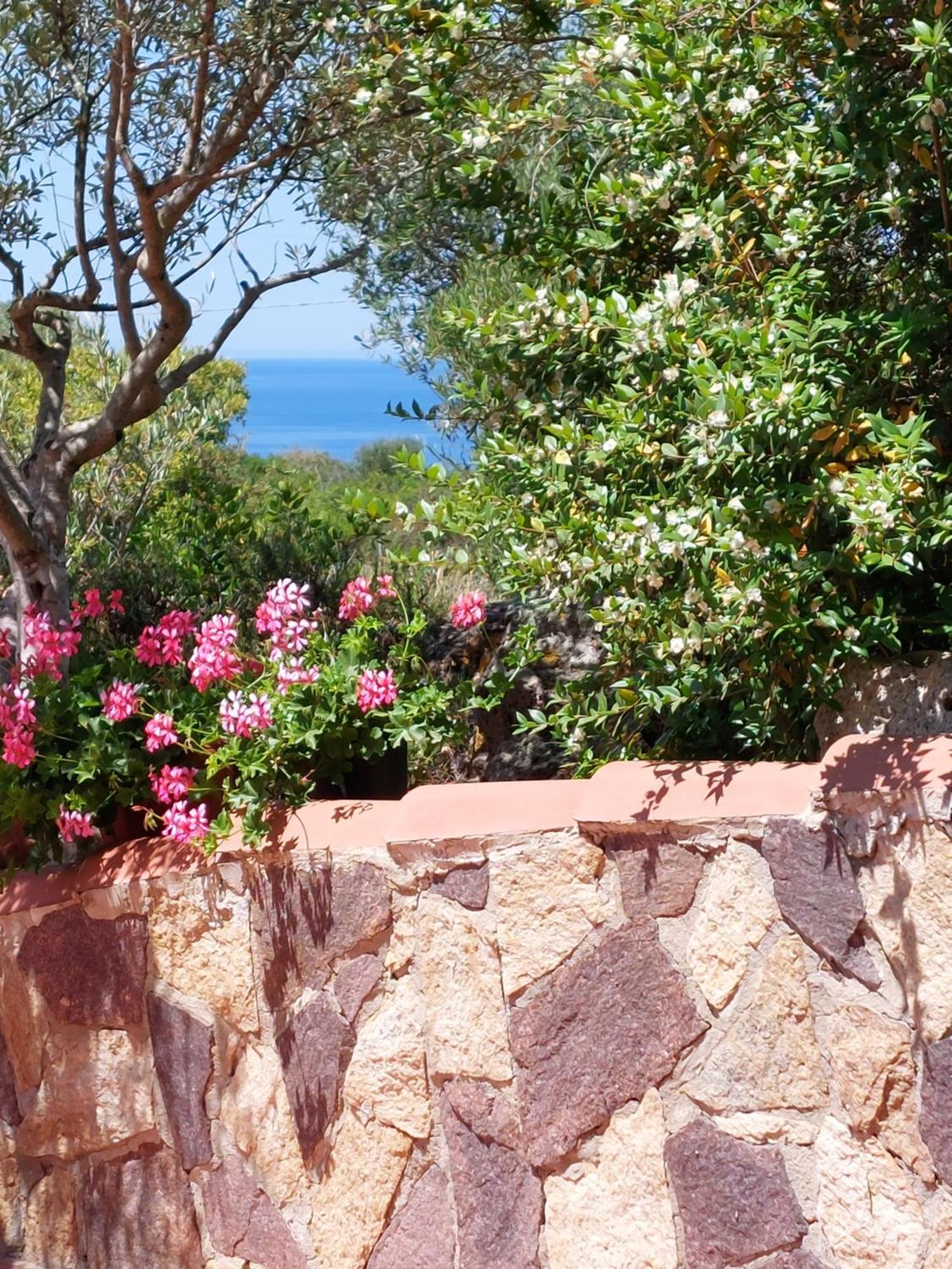 Arcamyrtus Guest House Alghero Exterior photo