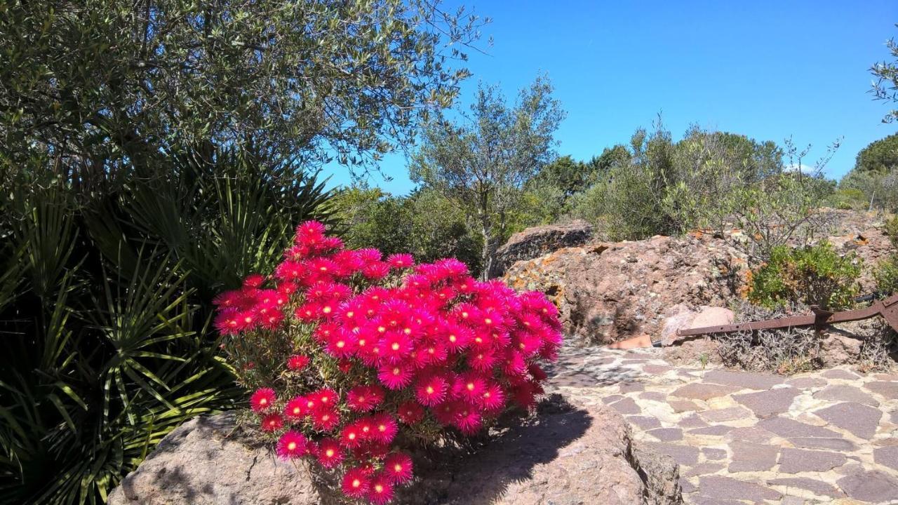Arcamyrtus Guest House Alghero Exterior photo